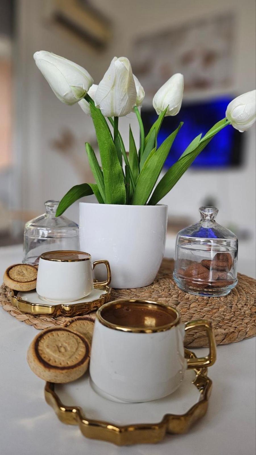Apartment Ana V-Peshtani أوهغيد المظهر الخارجي الصورة